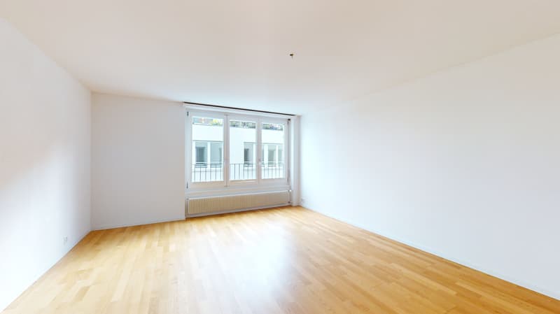 Sanierte Wohnung im Herzen von Solothurn! Nachmieter per sofort gesucht. (6)