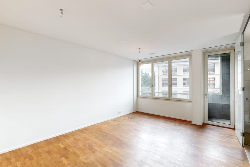 Apartment in the heart of Zurich! (4)