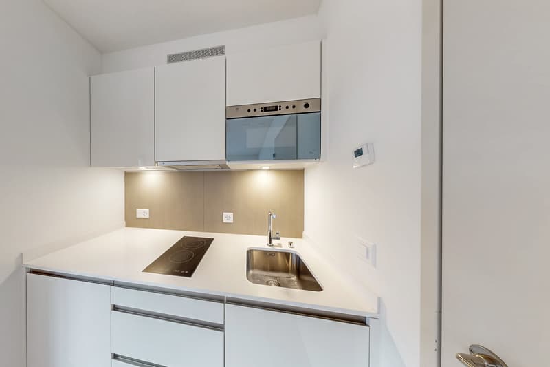 Apartment in the heart of Zurich! (5)