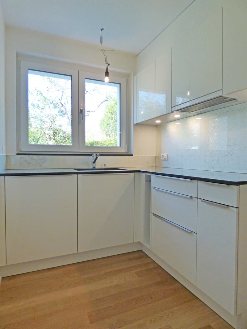 Votre nouveau rêve de maison sur la Zürcher Goldküste ! (9)