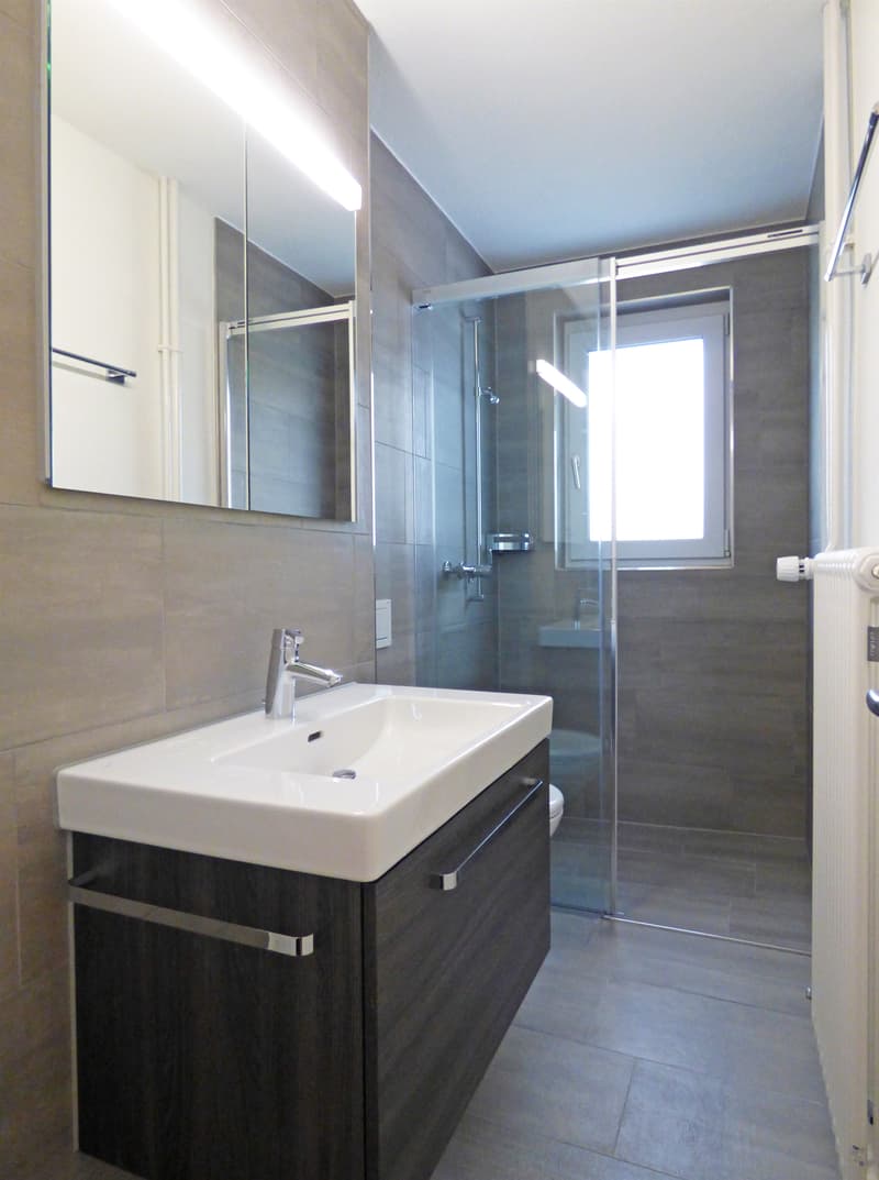Votre nouveau rêve de maison sur la Zürcher Goldküste ! (10)