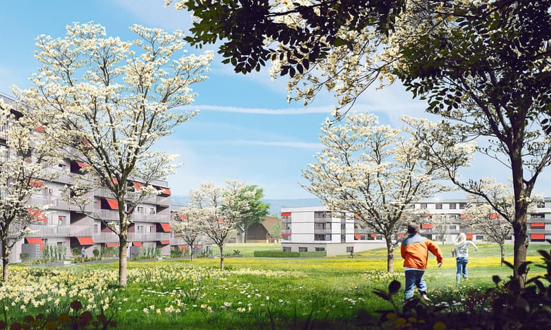 Appartamento unico in attico con standard di costruzione nuovo nel popolare quartiere di Schöngrün. (9)