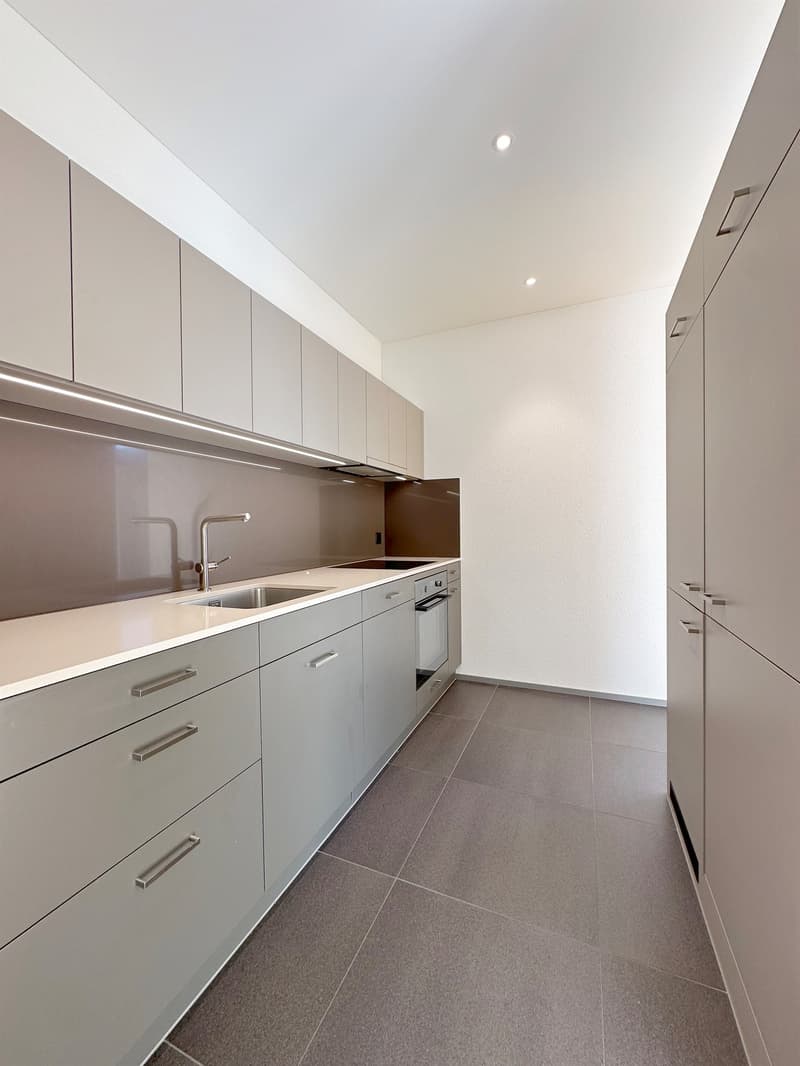 Moderne Wohnung in der Stadt Zürich (5)