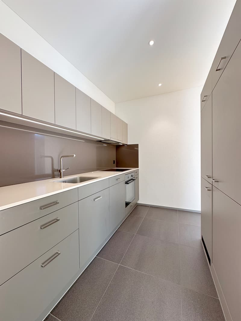 Modern apartment in the city of Zurich (5)
