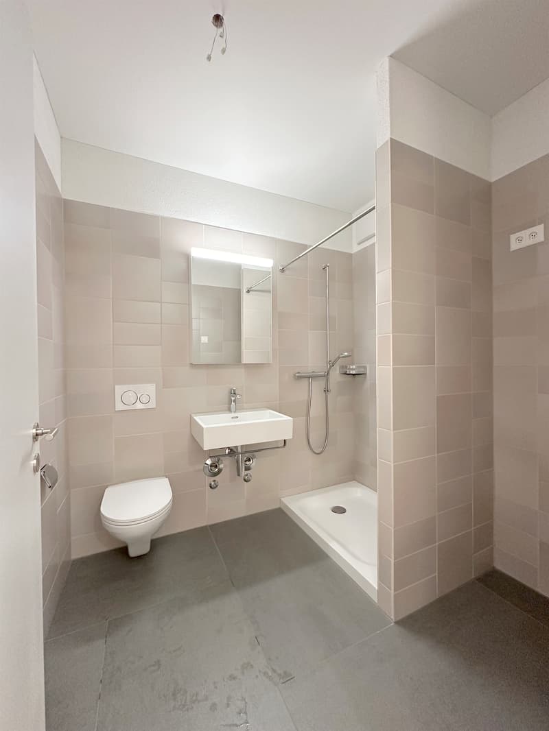 Modern apartment in the city of Zurich (6)