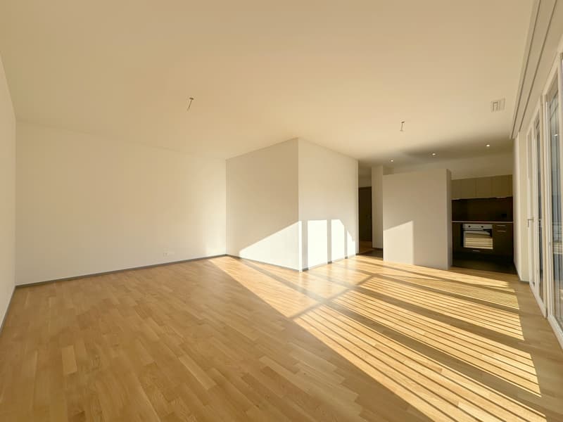 Modern apartment in the city of Zurich (2)