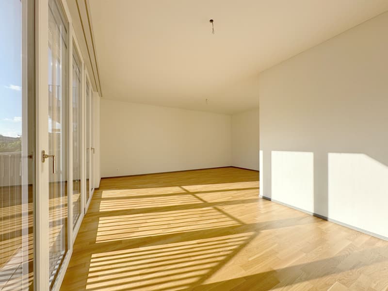 Modern apartment in the city of Zurich (3)