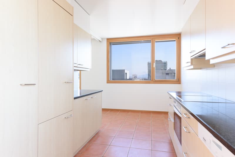 Enjoy a superb corner terrace in a residential neighborhood (3)