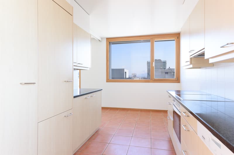 Enjoy a superb corner terrace in a residential neighborhood (6)