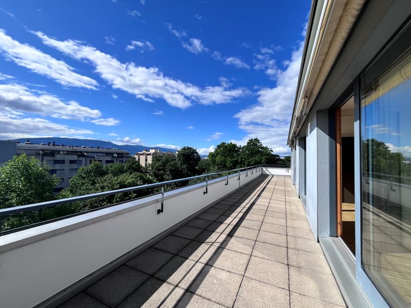 Enjoy a superb corner terrace in a residential neighborhood (2)