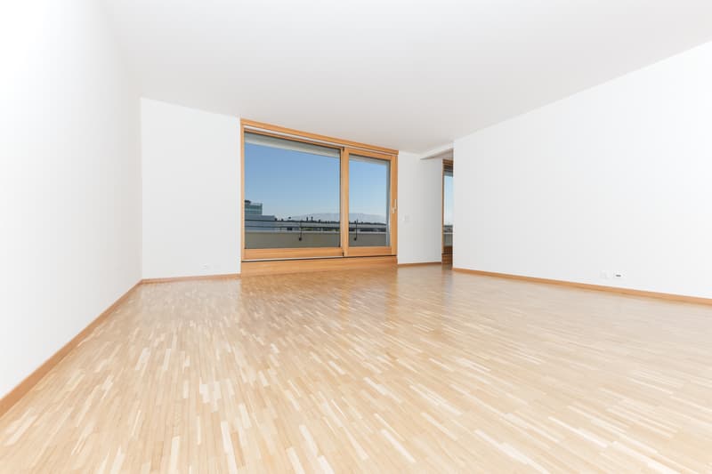 Profitez d'une superbe terrasse d'angle dans un quartier résidentiel (2)