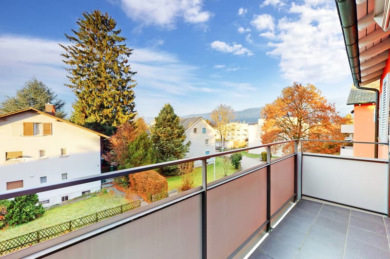 Appartement à proximité de la vieille ville de Solothurn ! (6)