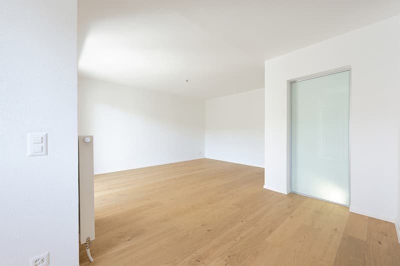 Modern apartment with private laundry tower (3)