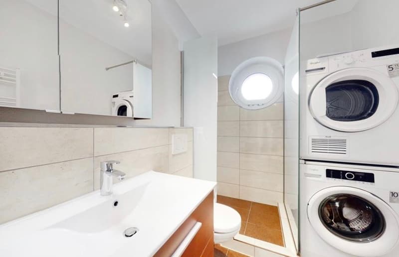 Modern apartment with private laundry tower (7)