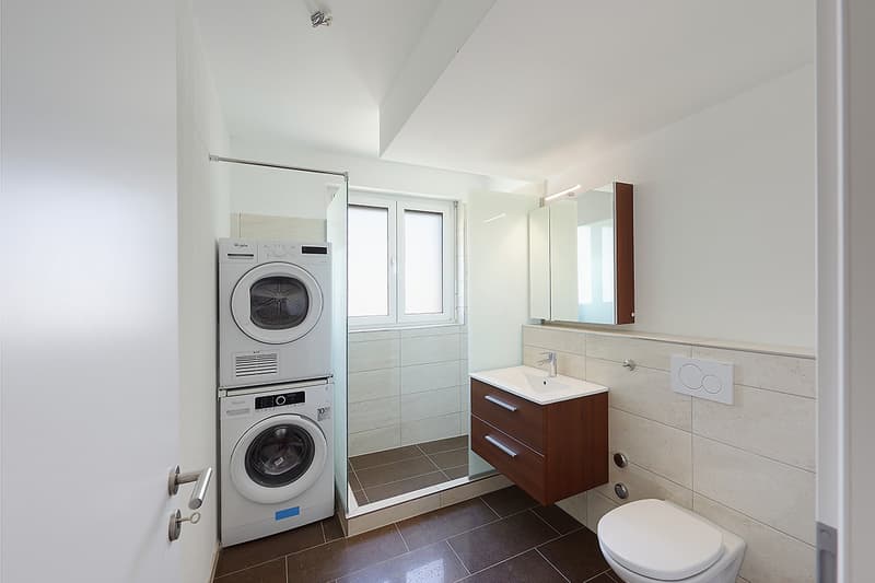 Modern apartment with private laundry tower (5)