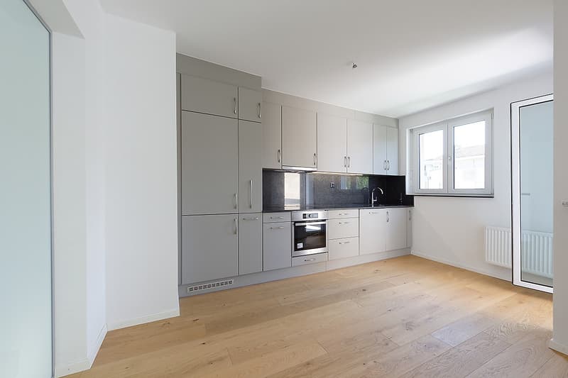 Modern apartment with private laundry tower (2)