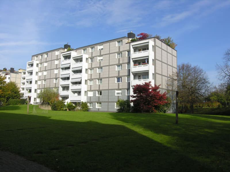 Family-friendly development in a green area (2)