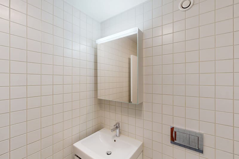 Spacieux appartement de 6.5 pièces au 8ème étage (9)