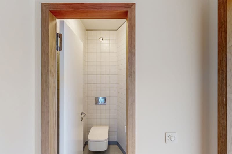 Spacieux appartement de 6.5 pièces au 8ème étage (10)