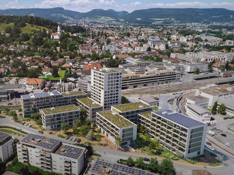 Atelierwohnung im Henz Areal (1)
