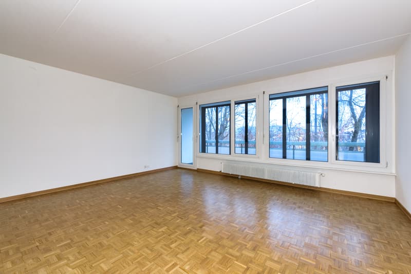 Duplex-Wohnung in Petit-Lancy! (4)