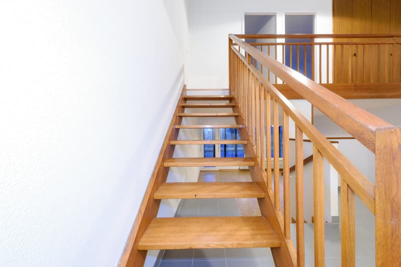 Duplex-Wohnung in Petit-Lancy! (5)