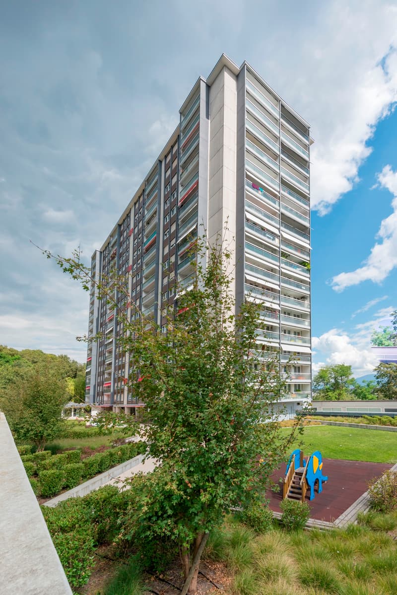 Duplex-Wohnung in Petit-Lancy! (1)