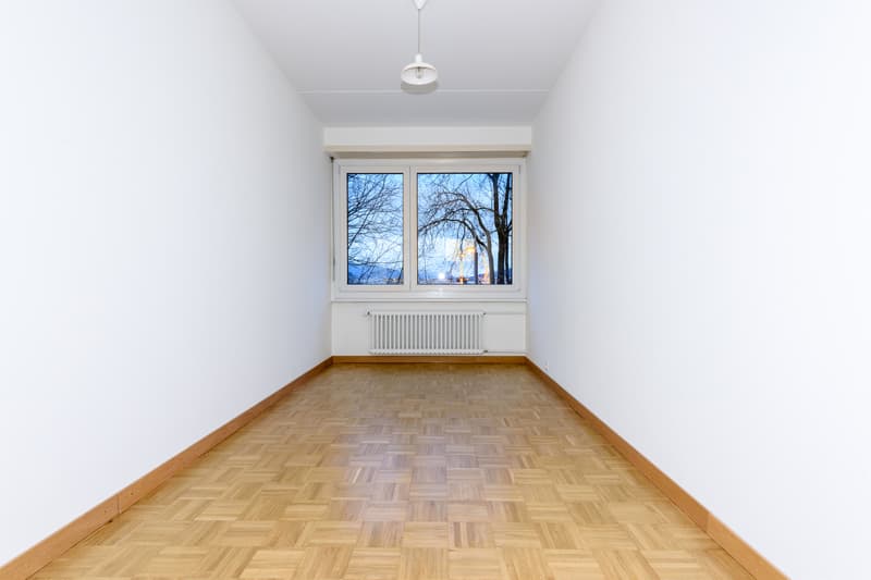 Duplex-Wohnung in Petit-Lancy! (6)