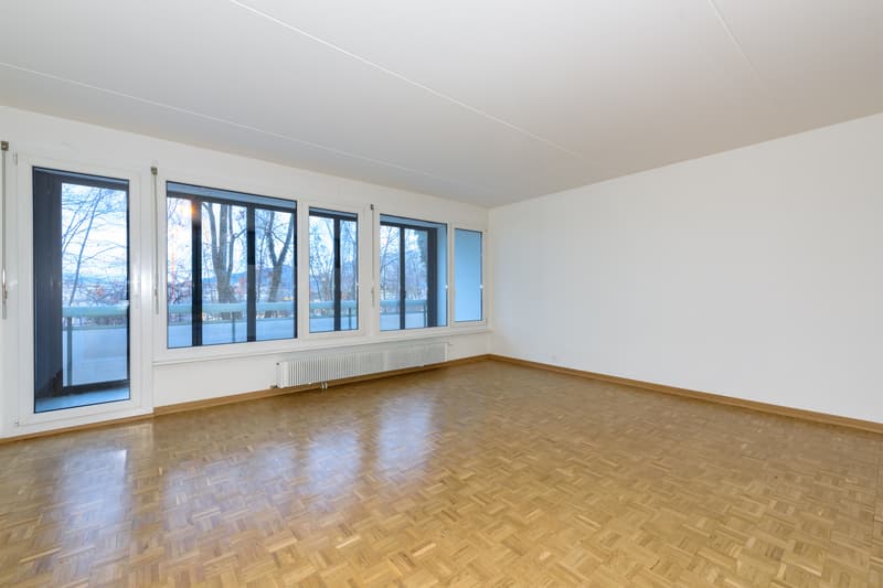 Duplex-Wohnung in Petit-Lancy! (3)