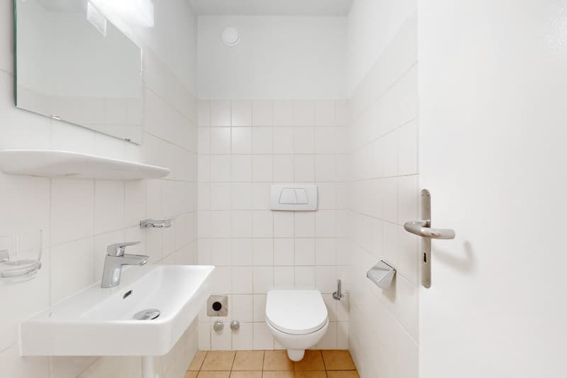 Three-room apartment on the ground floor (11)