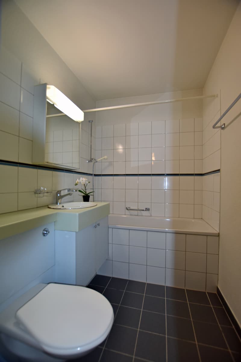 Cozy attic apartment in central location (8)