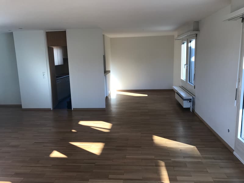 Wohntraum Attika - im bevorzugten Haslenquartier mit 2 Terrassen! (6)