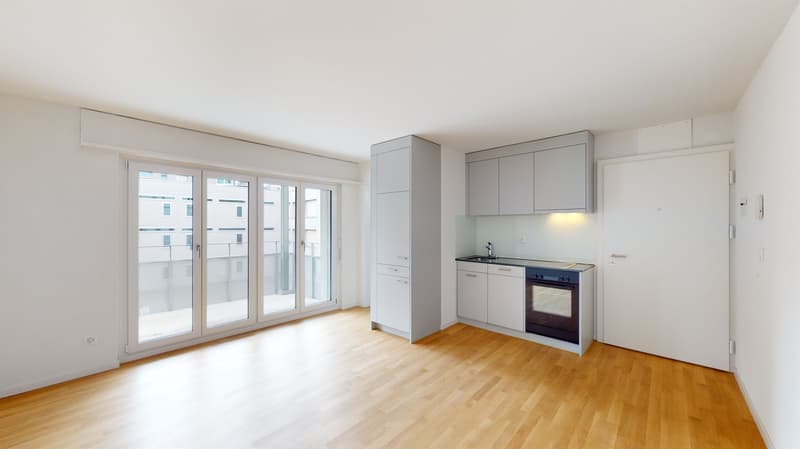 Living with style - studio apartment with modern amenities (2)