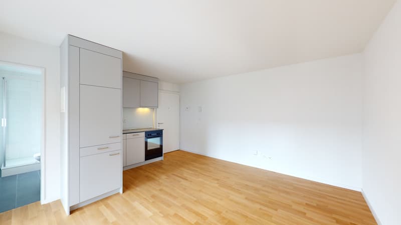 Living with style - studio apartment with modern amenities (3)