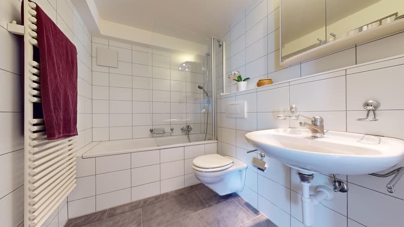 Duplex-Wohnung im Herzen von Solothurn (8)