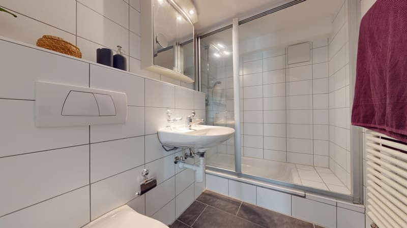 Duplex-Wohnung im Herzen von Solothurn (9)