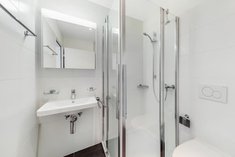 Ein exklusives Penthouse in Locarno, Residenza Laville (8)