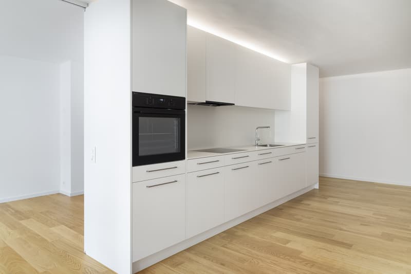 Superbe appartement du vieux quartier à votre recherche ! (3)