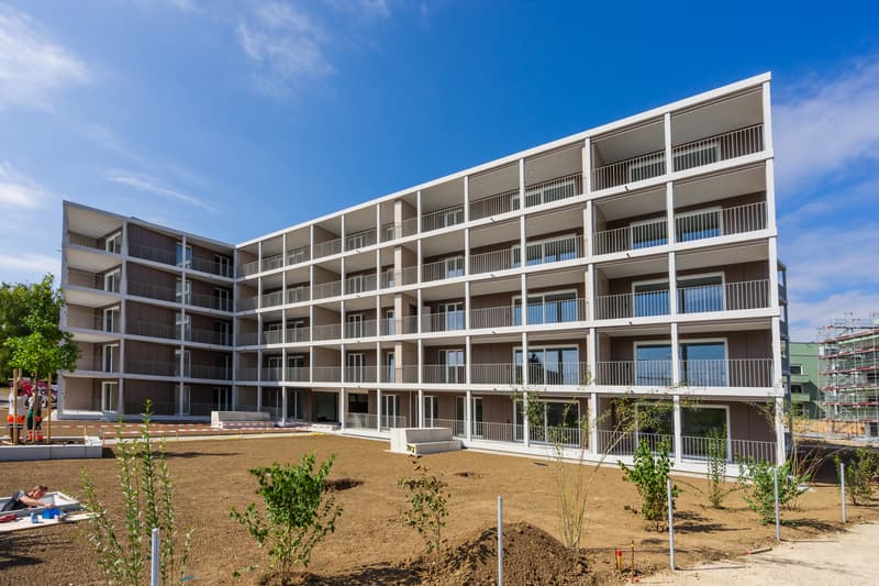 Moderne Parterrewohnung im Herzen von Biberist - Nachmieter gesucht. (7)