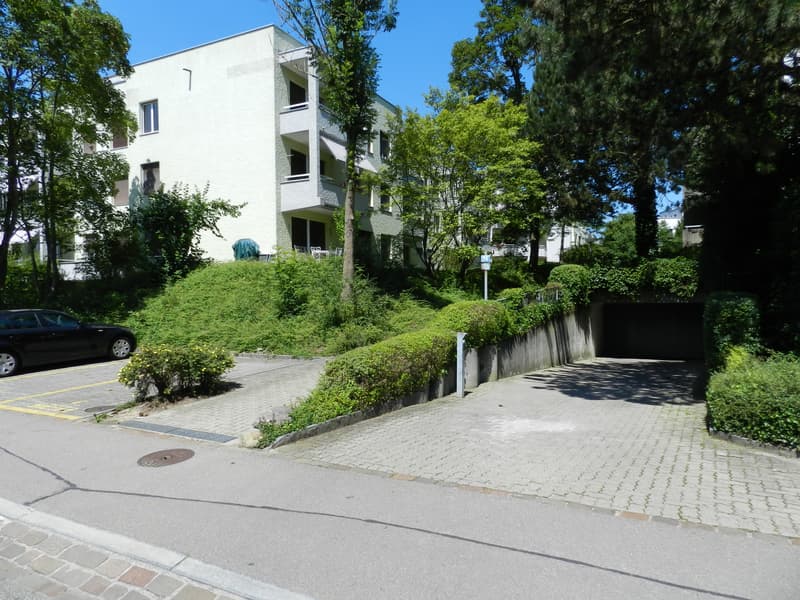 Zentrale Wohnlage in Altstetten - Befristet für 1 Jahr (1)