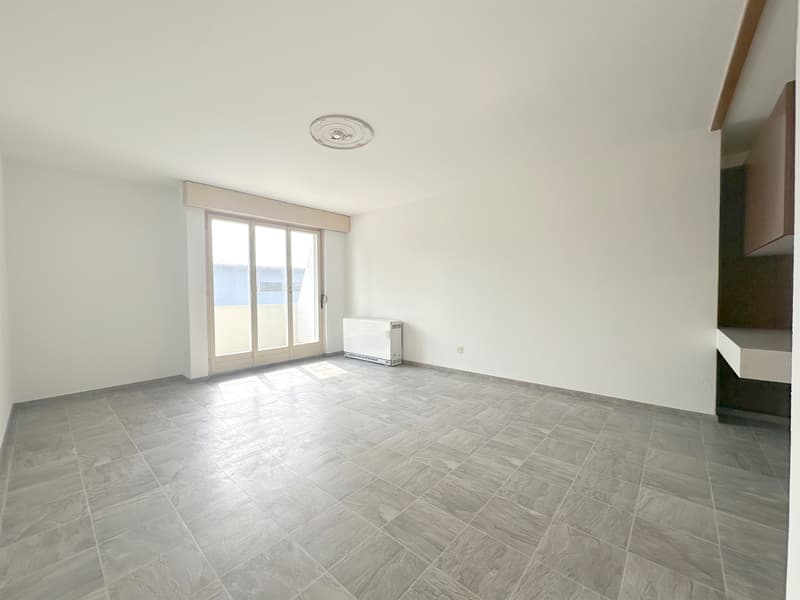 Appartement single charmant dans un quartier résidentiel calme (3)