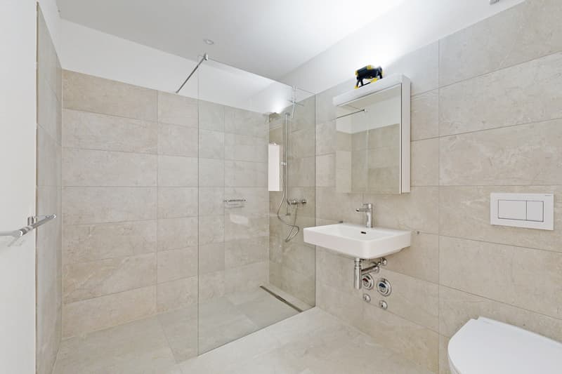 Votre nouveau foyer à Wetzikon (7)