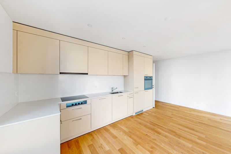 Votre nouveau foyer à Wetzikon (2)