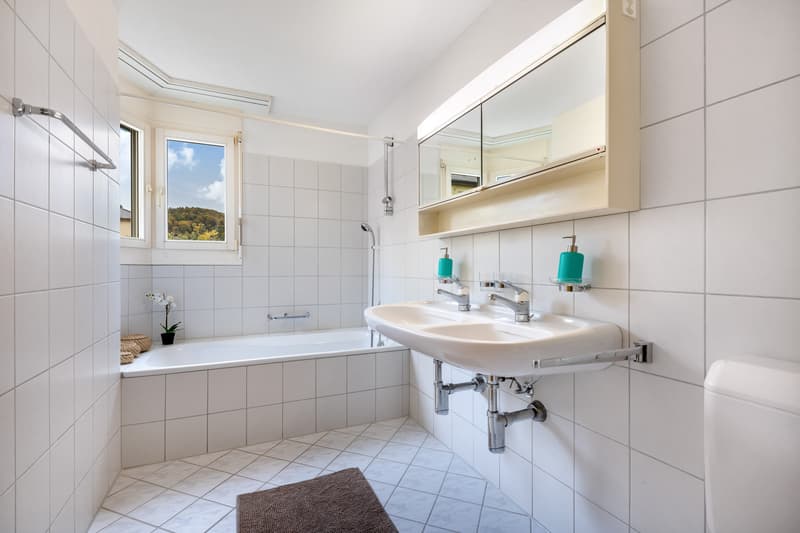 Charmante Dachwohnung sucht Sie (5)
