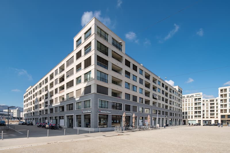 Weissdornhof - l'appartement de ville plus beau à Dietikon (1)