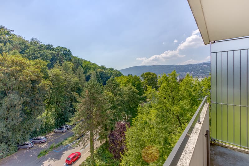 Herrliche Aussichten über die Stadt Biel (10)