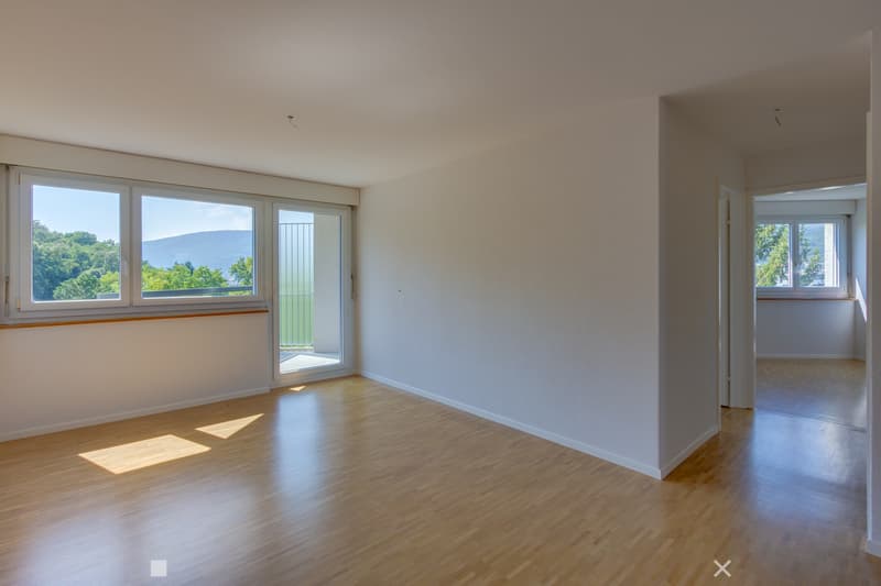 Herrliche Aussichten über die Stadt Biel (4)