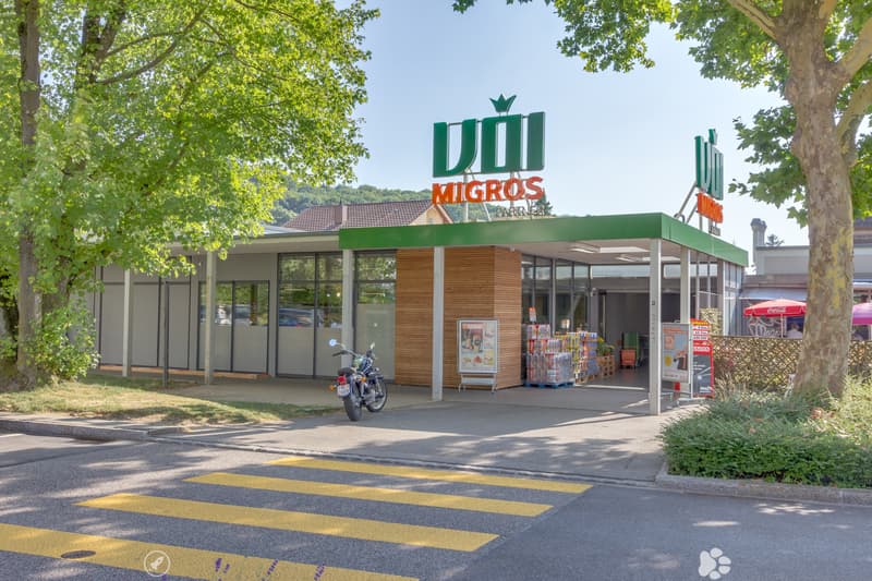 Willkommen in der Oase! (4)