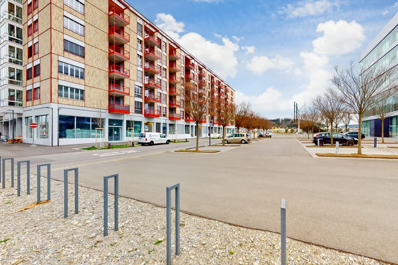 Modern apartment in Winterthur (1)