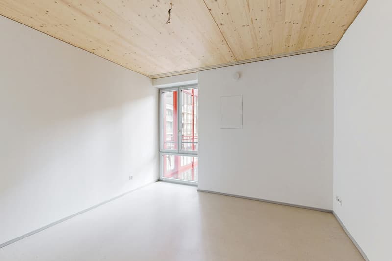 Modern apartment in Winterthur (3)
